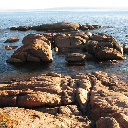 Pebble Shack Villa Коулс Бей Екстериор снимка
